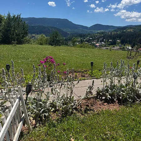 Selzo Lux